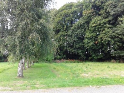 Rubkow Birkenweg Flst. 3 und 14 Rubkow Birkenweg Flst. 3 und 14